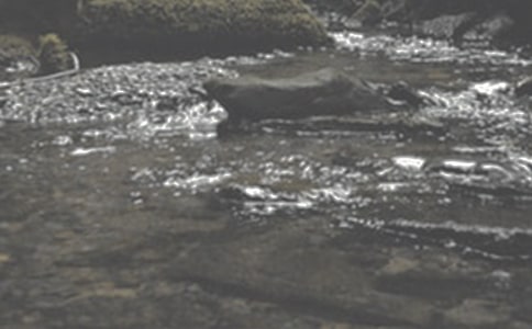 СϪ���ĸ��������