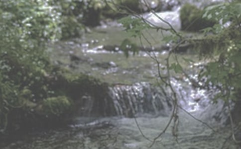 温暖……那小溪流过的痕迹