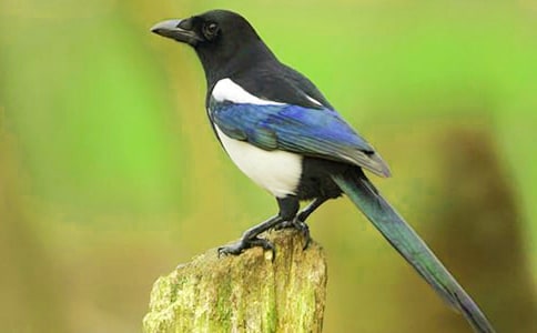 ������ϲȵ���̰���ͨ��16ƪ��