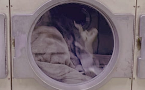 ϴ�·��ܼ�(15ƪ)