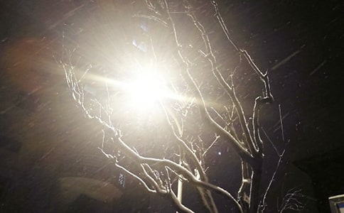 下雪了学生作文(15篇)