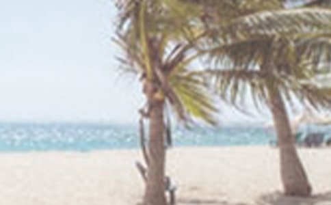 ��һ�ļ�������