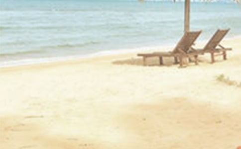 �����ļ������