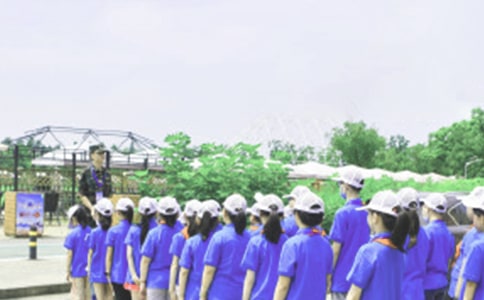 夏令营创意活动方案(6篇)