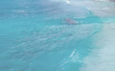 �����������Ļ������ͨ��16ƪ��