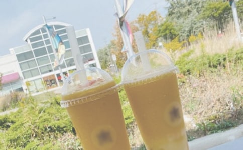 �����Ž����������