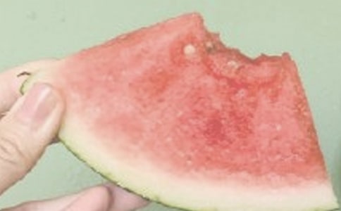 夏日活动的主题方案(通用11篇)