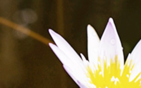 关于夏至的优美名言名句