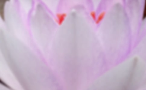 夏至未至读后感