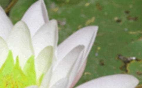 2022�������������ľ���