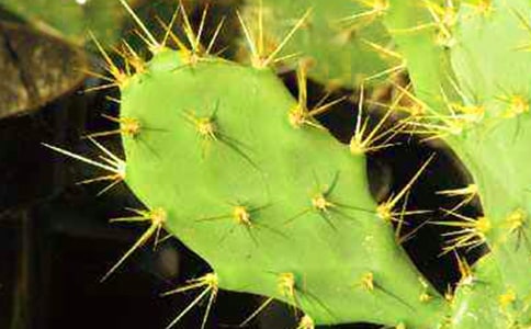 �Ұ�����������[��ѡ15ƪ]