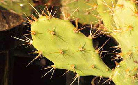 ����������