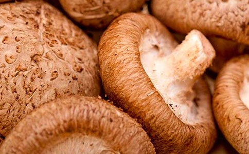 �ְ��ֽ������㹽�Ͳ˰�