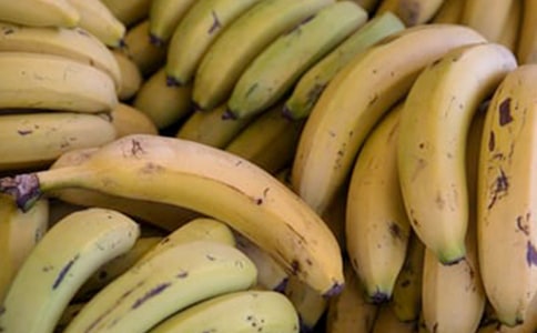 大班科学教案香蕉(通用16篇)