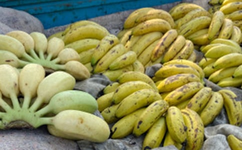 香蕉的'自述作文