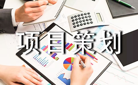 项目策划(精品)