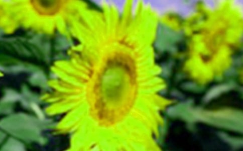 �а��������տ��̰�9ƪ