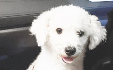 (��ѡ)С����������600��