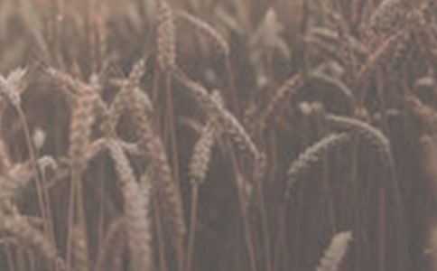 С��������涼��͵�ˣ����ֳ��