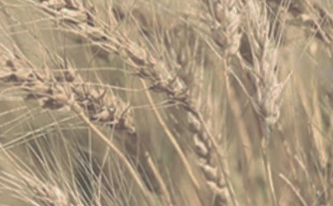 ��д����С����յļ�̾��ӣ���ѡ170�䣩