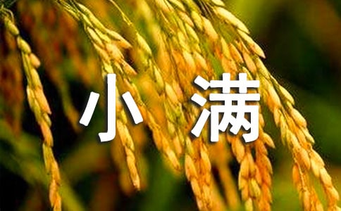 小满寄语(精选180句)
