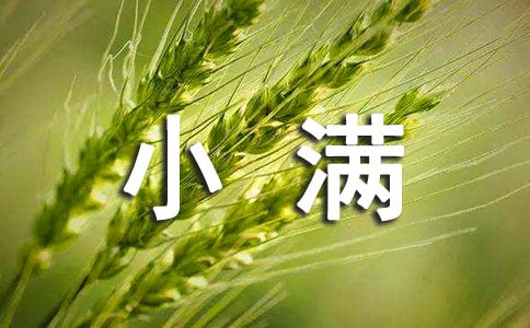 幼儿园节气课程小满教案(精选5篇)
