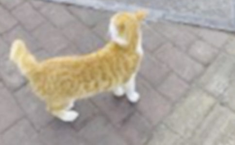 �Ҽҵ�Сè����