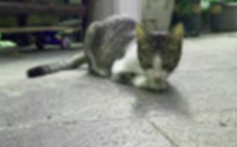 ������Сè����