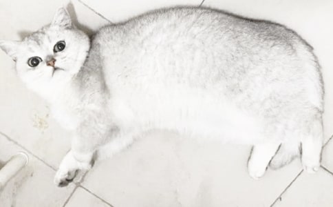 Сè��������300�ּ���8ƪ