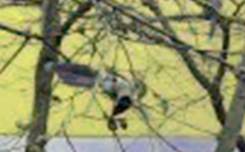 ����С�񡷣���һ��ʱ��