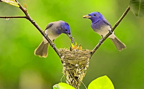 ����С��ľ���