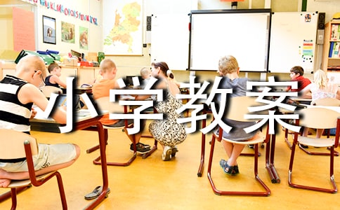 小学教案总结