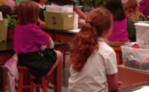 ���氮ѧ��Сѧ�������� 