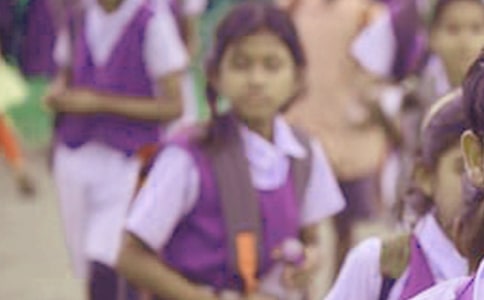 ���꼶Сѧ�����ҽ��ܾ�ѡ15ƪ