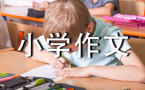 温暖的双手优秀小学作文(通用20篇)