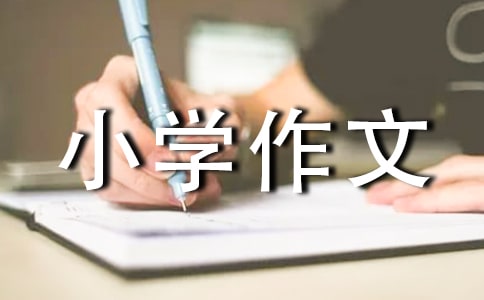 小学作文 游颐和园导游词作文推荐