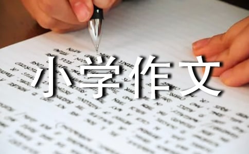 关于三潭映月的小学作文