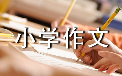 优秀小学作文600字(通用46篇)
