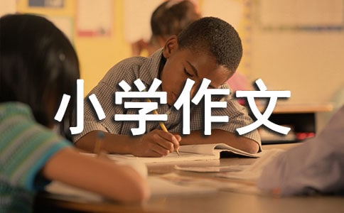 我的班级小学作文400字合集7篇