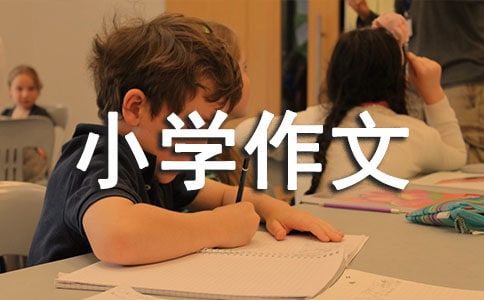 �ҵĳɳ�֮·Сѧ����