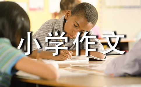 鸭子的求助小学作文650字