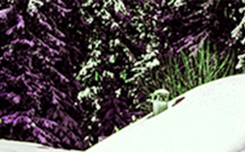 关于小雪的优秀句子(精选80句)