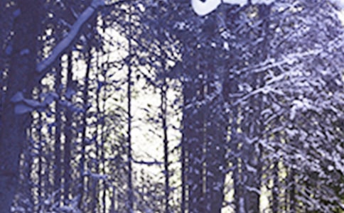 幼儿园小班科学教案《小雪花》含反思(通用10篇)