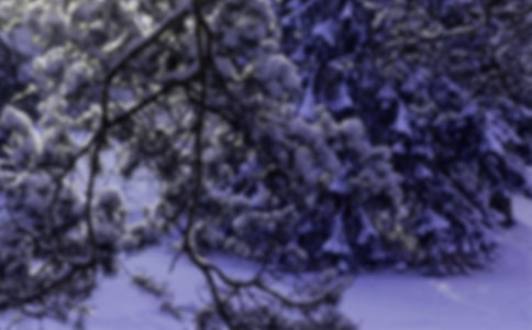 ����Сѩ�Ļ��������ѡ10ƪ��