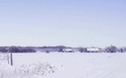 �׶�԰Сѩ���̰���ͨ��9ƪ��