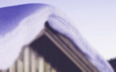 ��ʮ�Ľ���Сѩ�Ľ̰�