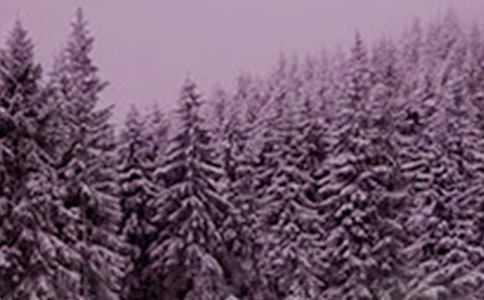 小雪节气的祝福句子