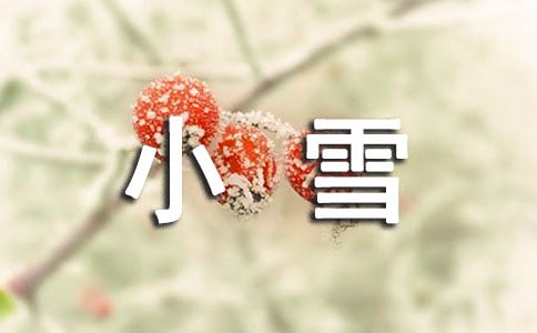 幼儿园大班音乐《小雪花》教案