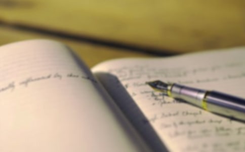 ������д������