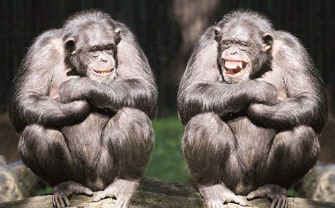 �ϵ�����������